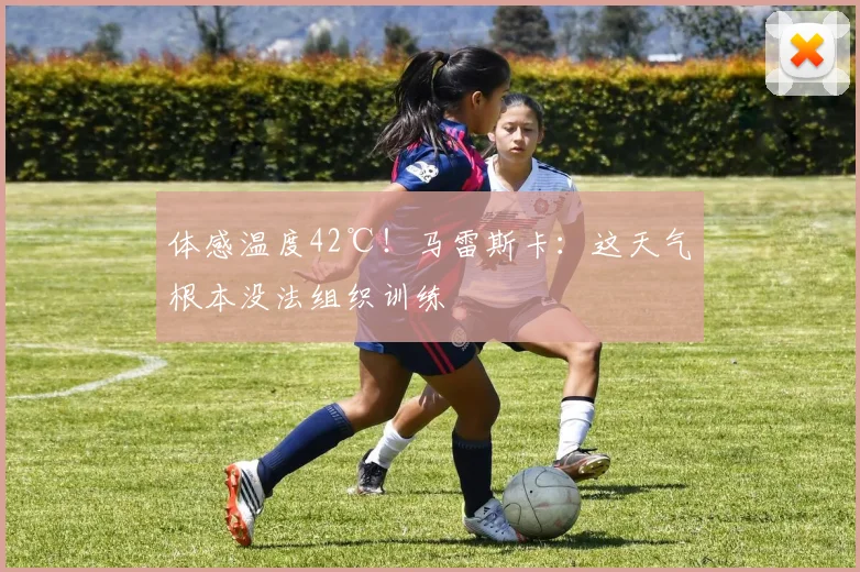 体感温度42℃！马雷斯卡：这天气根本没法组织训练